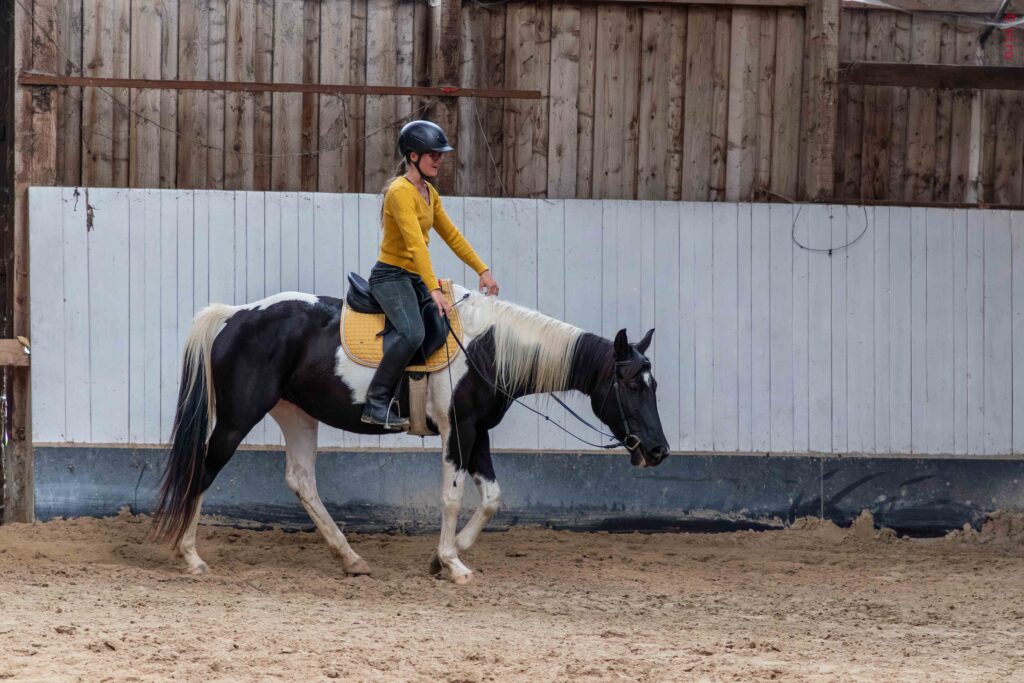 Reiterin belohnt ihr Pferd durch das Hingeben des Zügels.